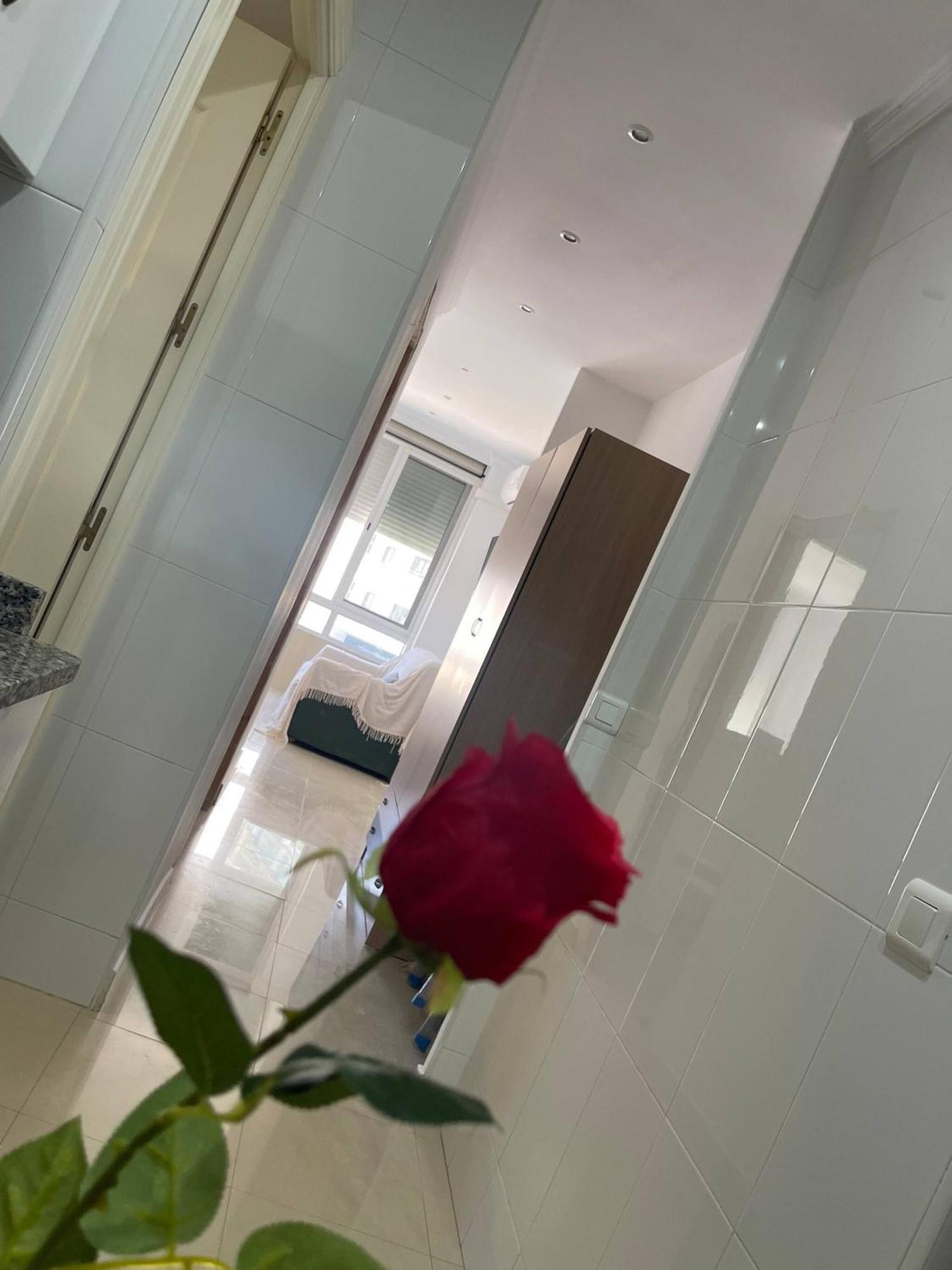 Gala De Steram Flats Apartment